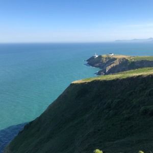 Meet your Posher, Anne